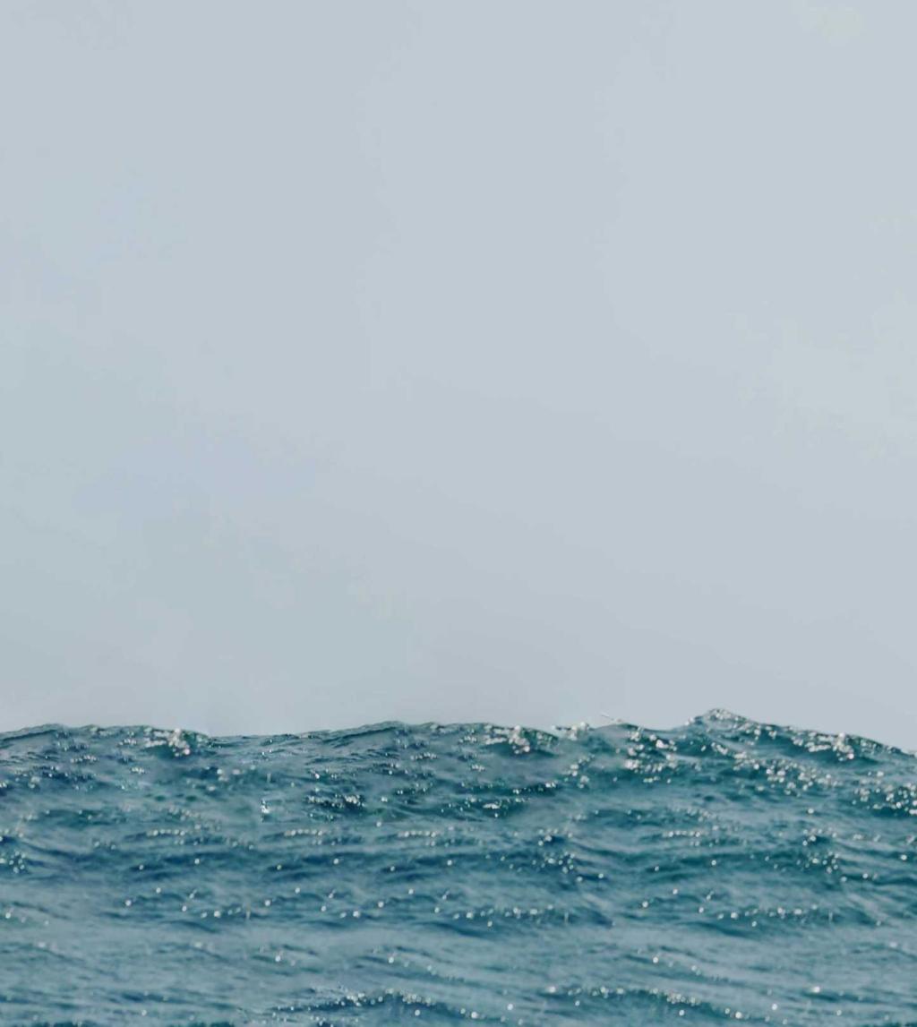 Marine